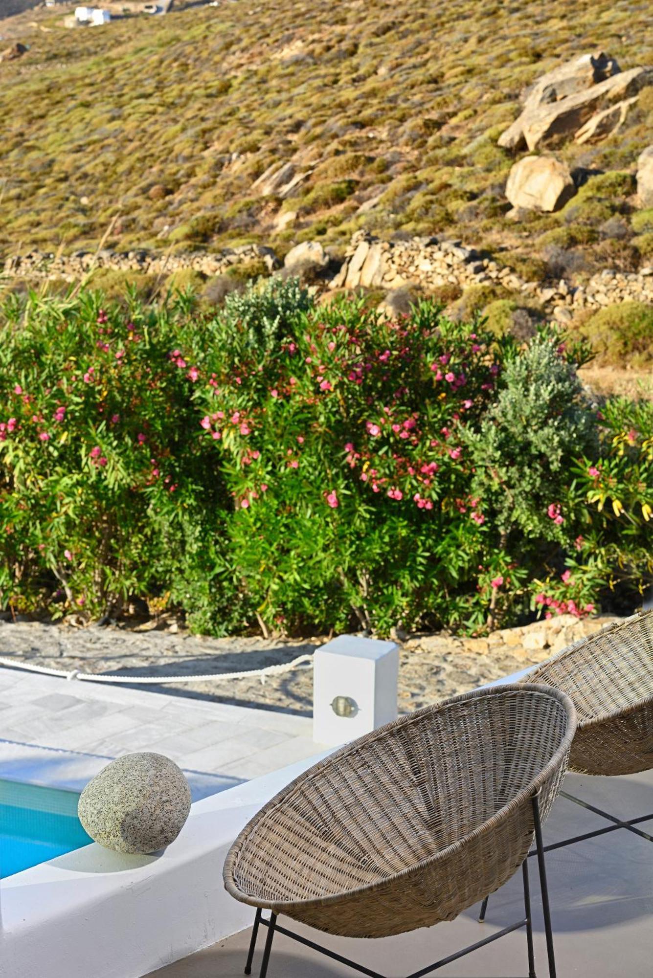 Mykonos Dream Villas 프텔리아 외부 사진